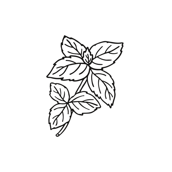 Basil