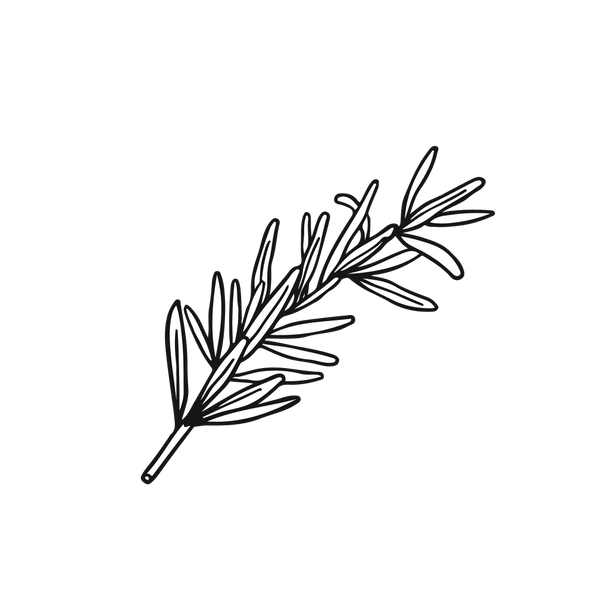 Rosemary Extract