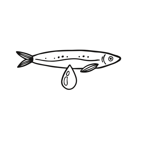 Sardine Oil