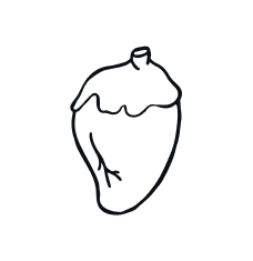 Chicken Heart